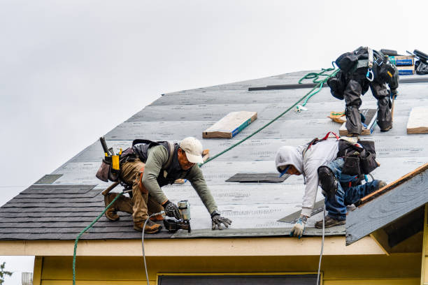 Professional Gutter Installation technician working in Highland Park, TX